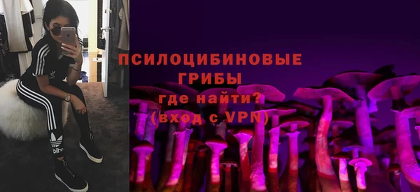 спайс Алексин