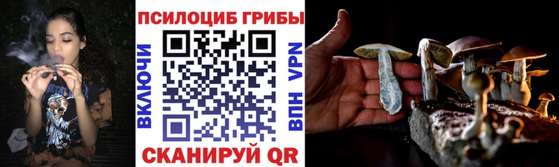 Галлюциногенные грибы Magic Shrooms  Палласовка 